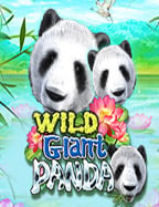 แอ พ สล็อต ยืนยัน ตัว ต้น รับเครดิตฟรี กับวิธีเล่นที่ควรรู้