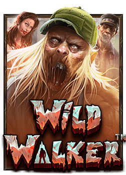 เกมไพ่แมงมุม ฟรี: สนุกกับการเล่นด้วยวิธีง่ายๆ